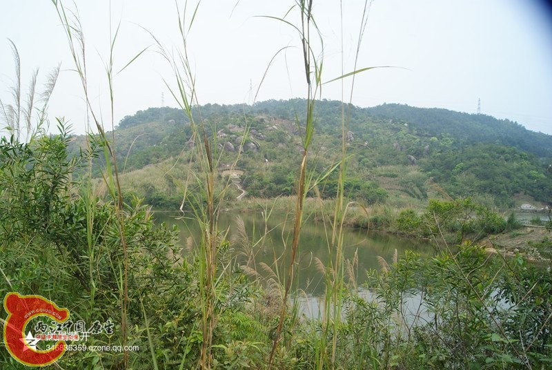 08.jpg