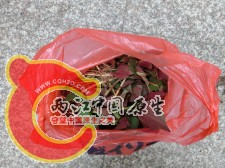 意外收获之一——猪鼻拱，凉拌吃超美味。