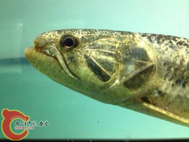 QQ图片20140409134444.jpg