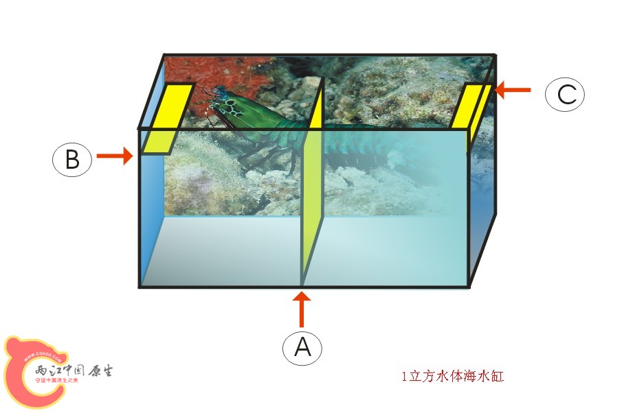 1立方水体的海水缸01.jpg