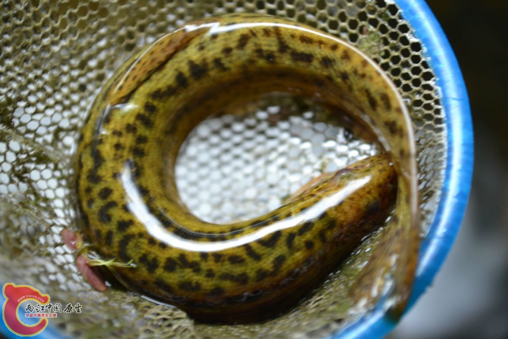 original_9zZ0_4e3f000170841191.jpg