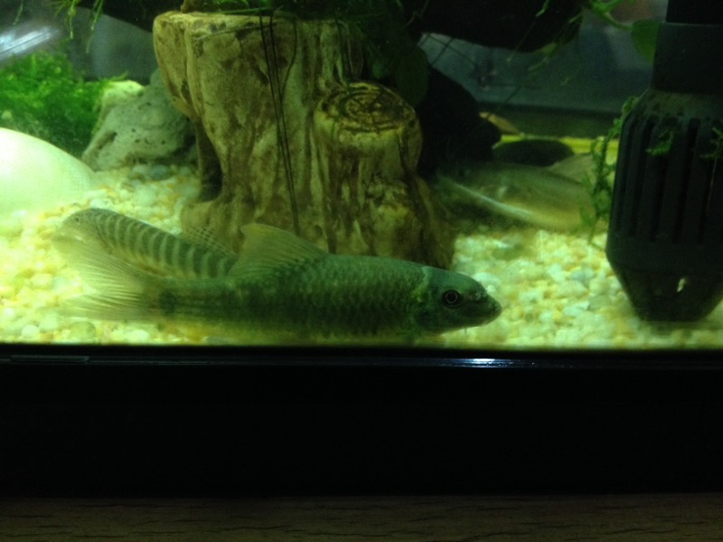 20140413121704_73146.jpg