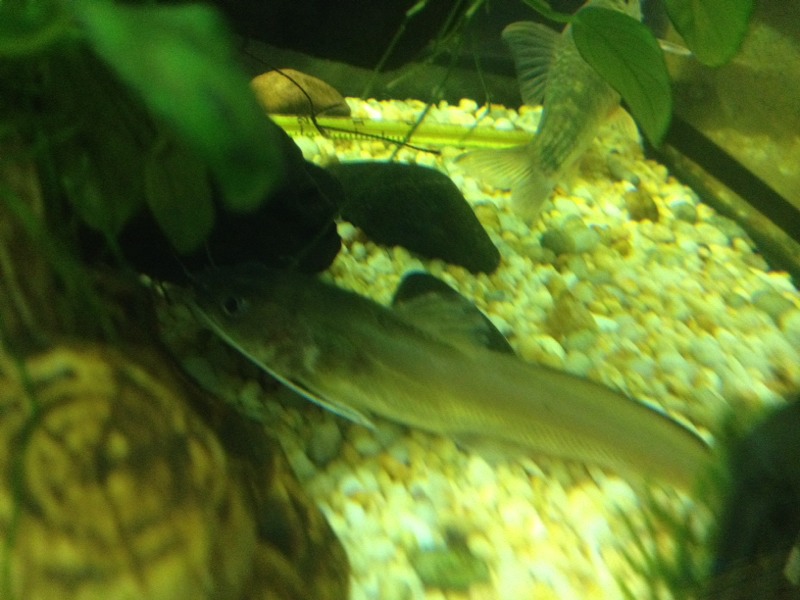 20140413121704_82051.jpg