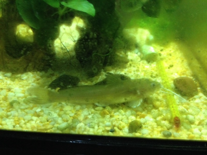 20140413121705_70932.jpg