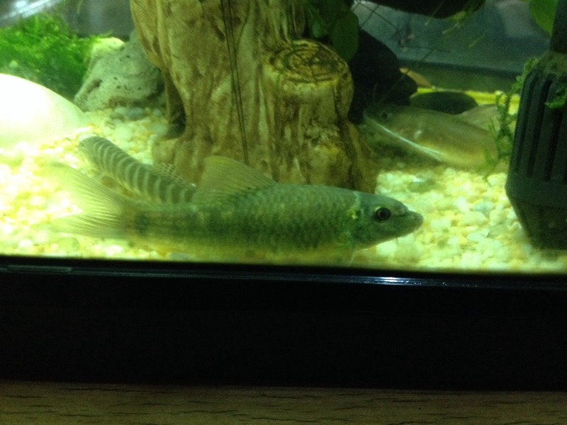 20140413121706_27635.jpg