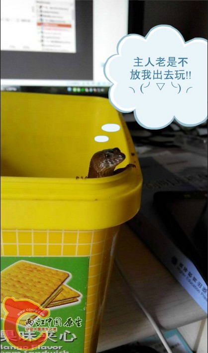 QQ截图20140413210117.jpg