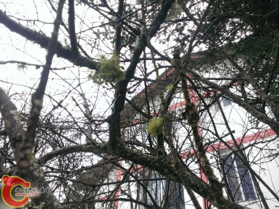 WP_20140406_062.jpg