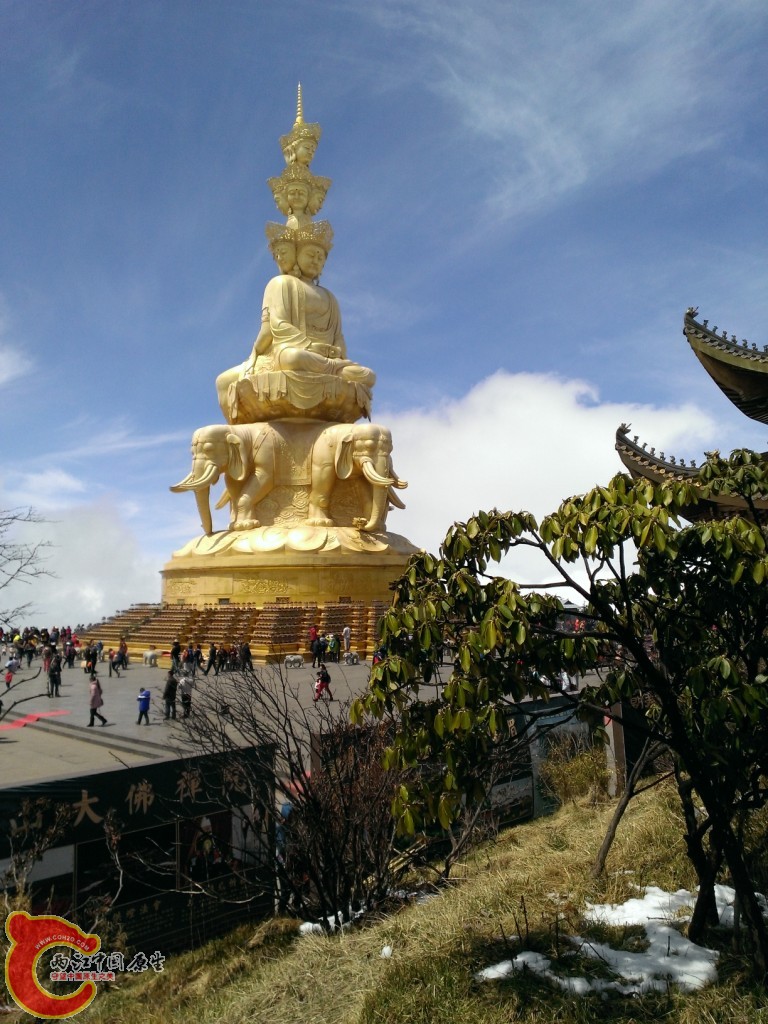 金顶