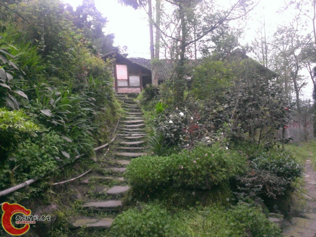 WP_20140406_195.jpg