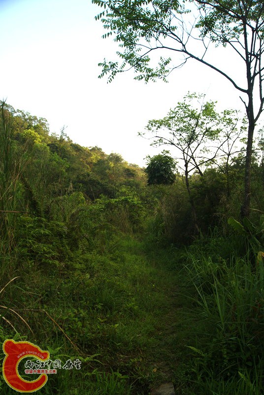 09.jpg