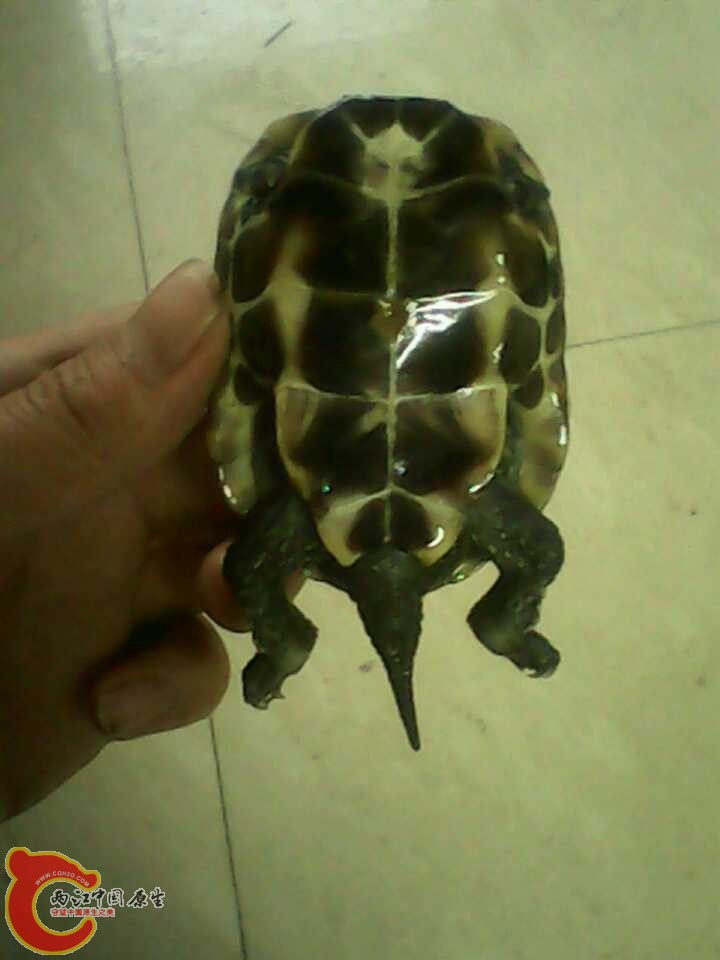 附上刚拍的照片