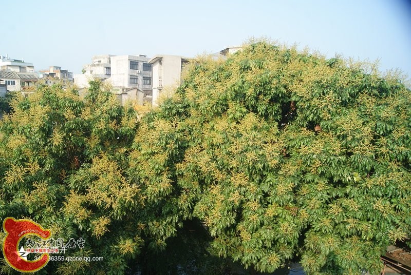 04.jpg