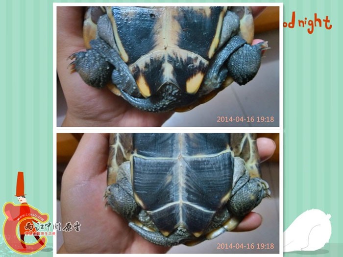 initpintu_副本4444.jpg