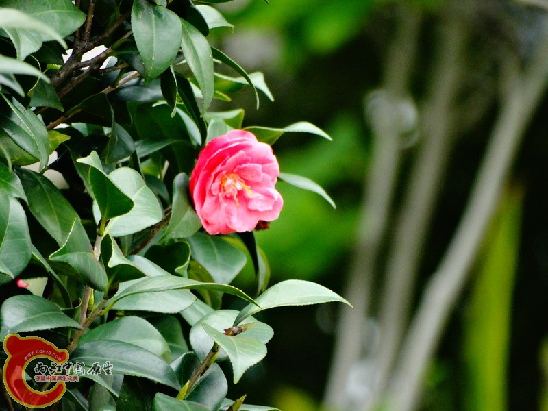 DSC00125.jpg