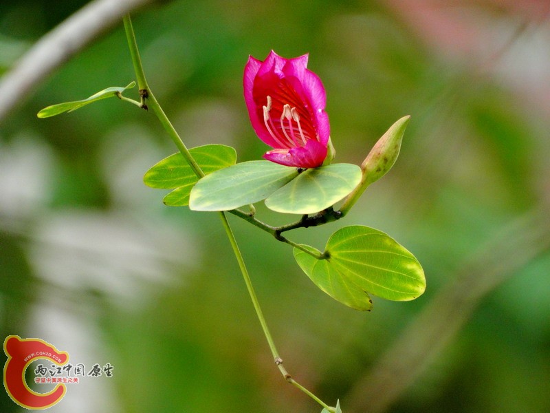 DSC00122.jpg
