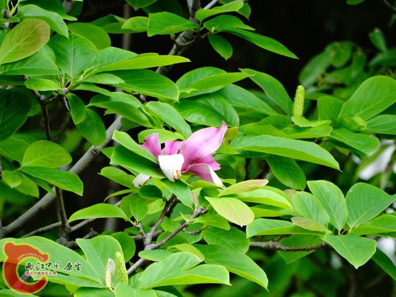 DSC00116.jpg