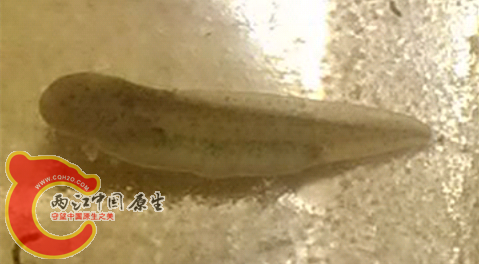 Screenshot_2014-04-18-12-38-39.png