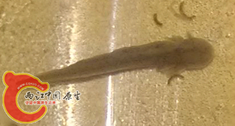 Screenshot_2014-04-18-12-38-55.png