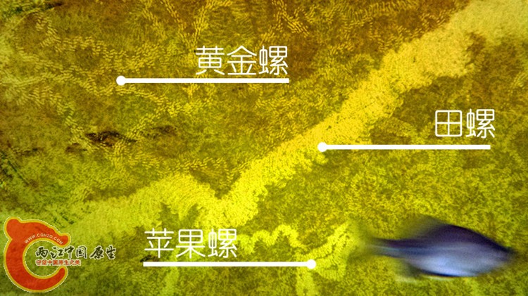 20140418_115220_副本_副本.jpg