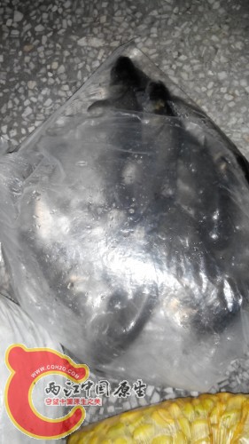 IMG20140419113607.jpg