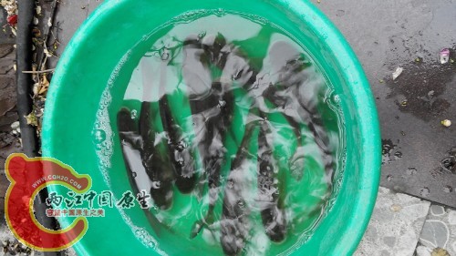 IMG20140419113628.jpg