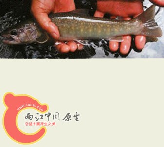 LOGO优化2.jpg