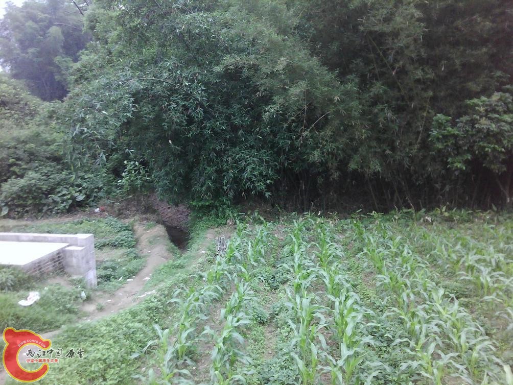 IMG_20140420_092308.jpg