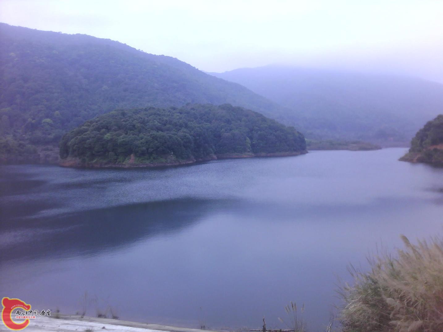 IMG_20140224_093843.jpg