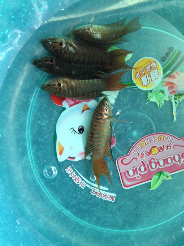 20140420101655_38729.jpg