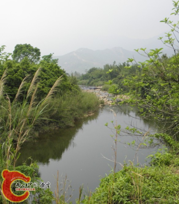 QQ图片20140420211324.jpg