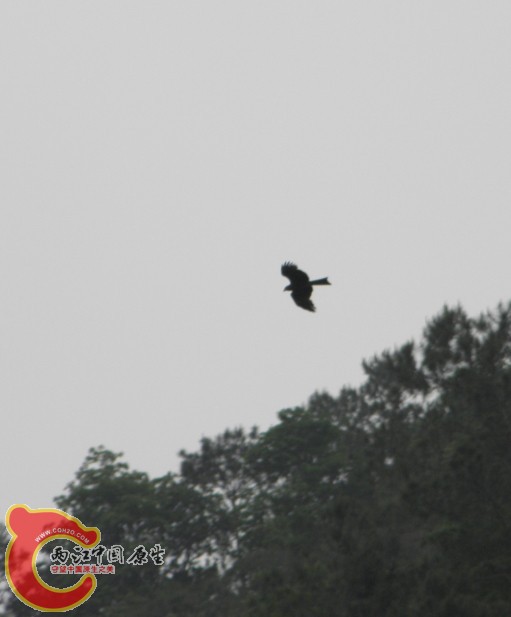 QQ图片20140420212235.jpg
