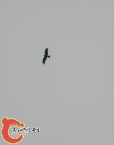 QQ图片20140420212253.jpg
