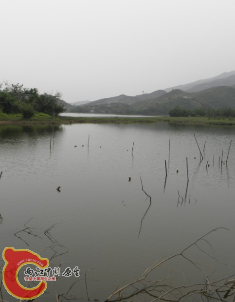 QQ图片20140420213239.jpg