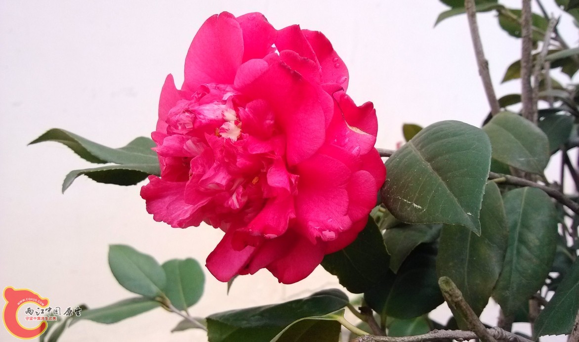 QQ图片20140420234053.jpg