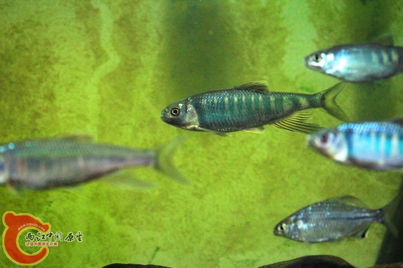 IMG_2224_副本.jpg