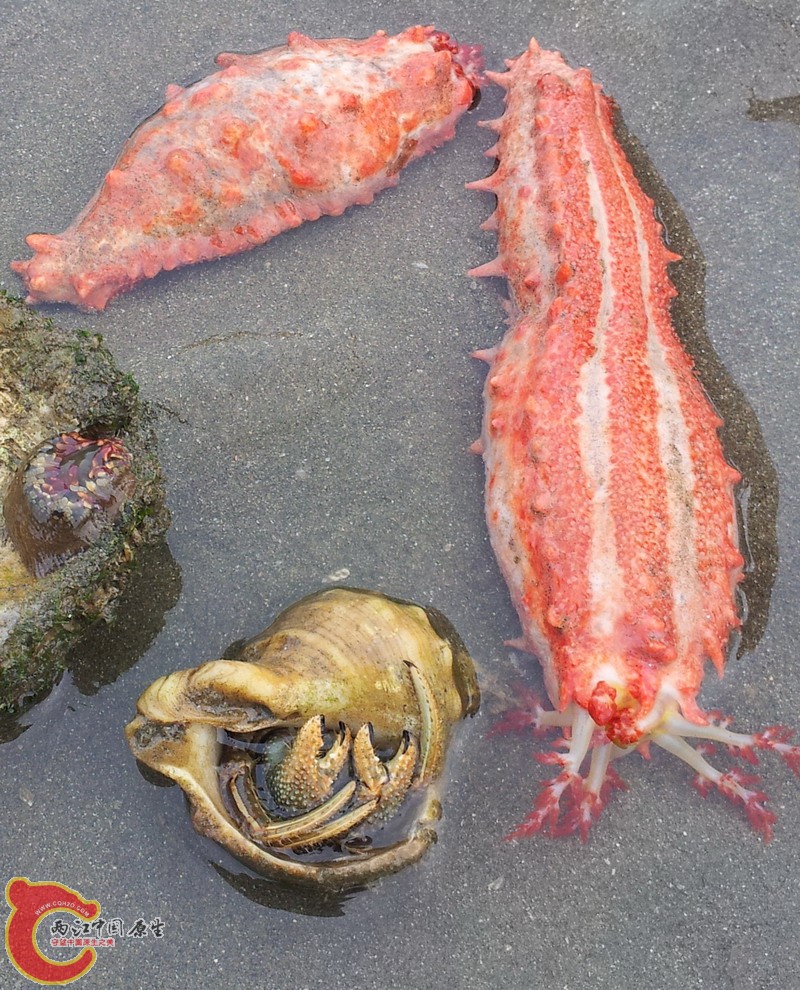 20140419_172949.jpg