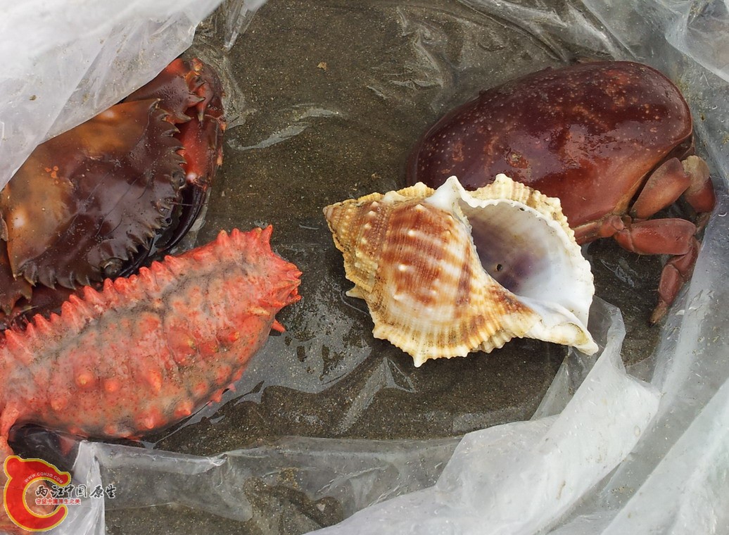 20140419_173121.jpg