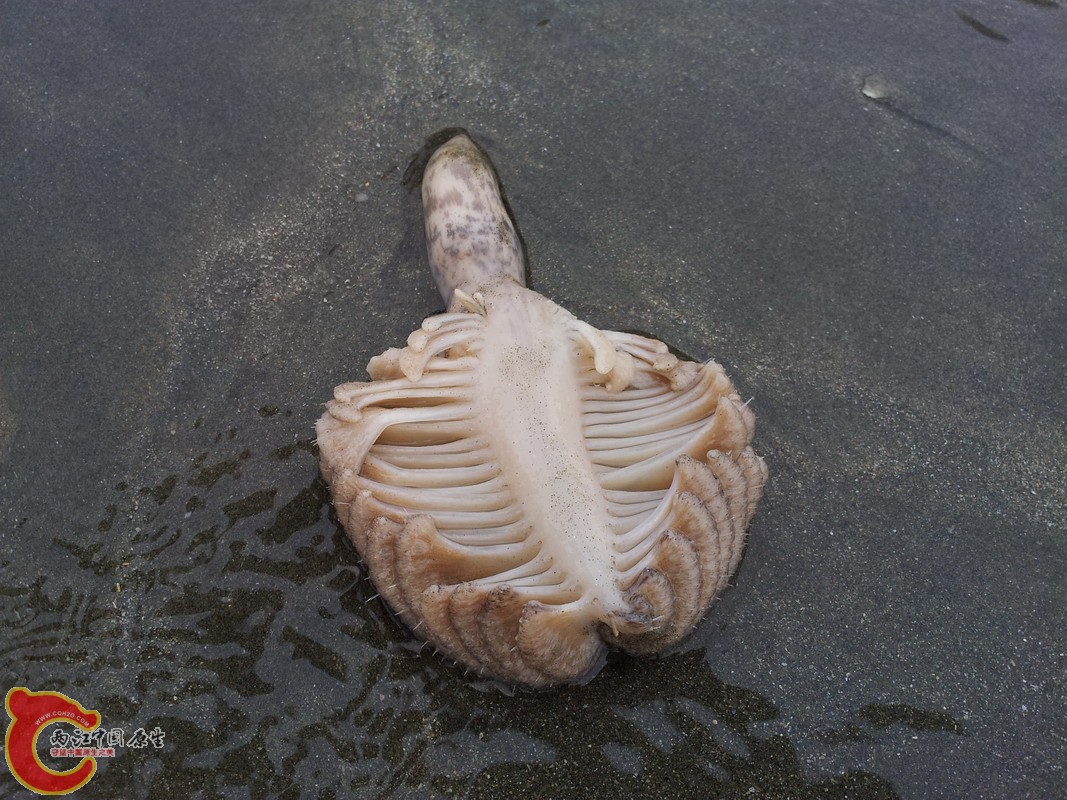 20140419_173551.jpg