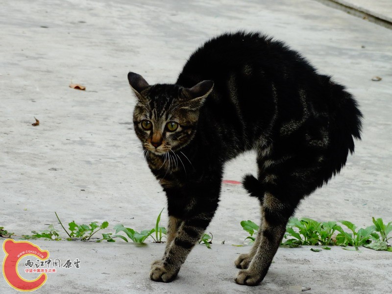 DSC00140.jpg