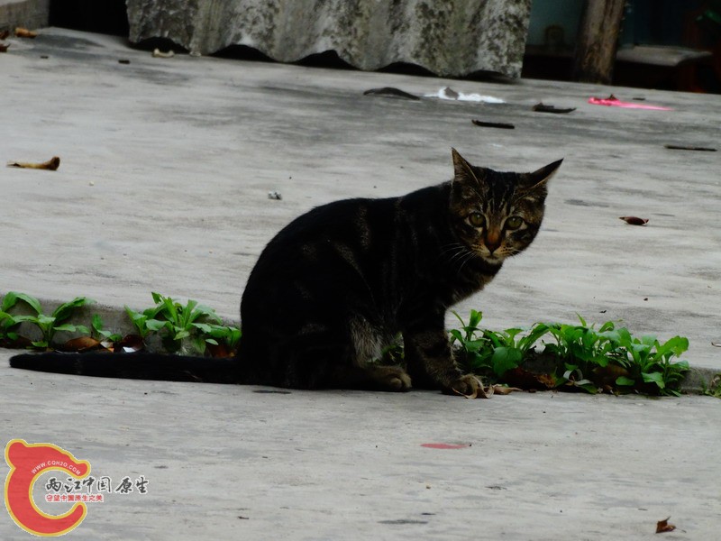 DSC00129.jpg