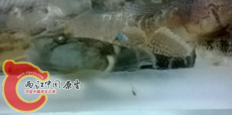 QQ图片20140422223014.jpg