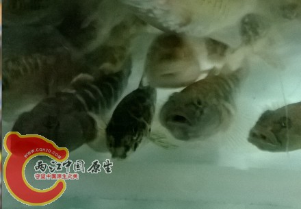 QQ图片20140422223039.jpg