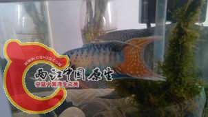 调整大小 IMG_20140420_123130.jpg