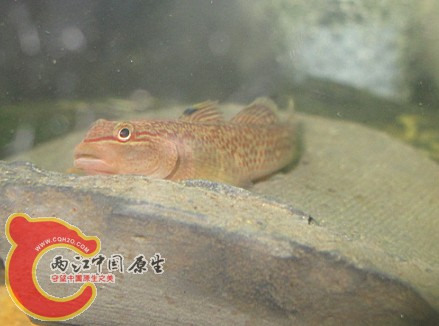 QQ截图20140423105647.jpg