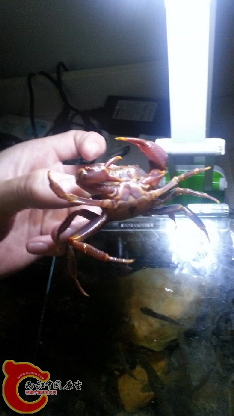 20140424_221306.jpg