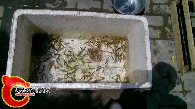 IMG_20140427_114945.jpg