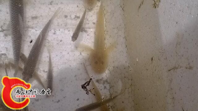 IMG_20140427_114927.jpg