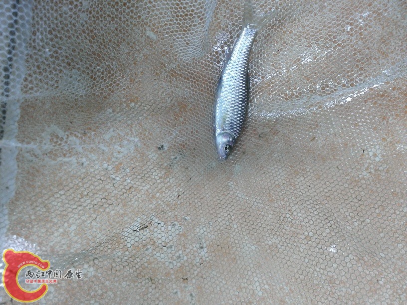 WP_20140427_003.jpg