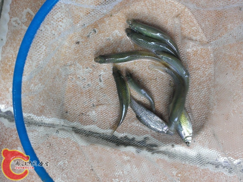 WP_20140427_006.jpg