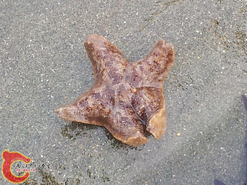 20140419_173025.jpg